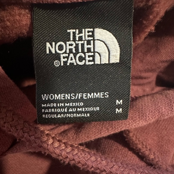 The North Face Evolution Edge of Light Half Dome Long-Sleeve Hoodie - Picture 3 of 4